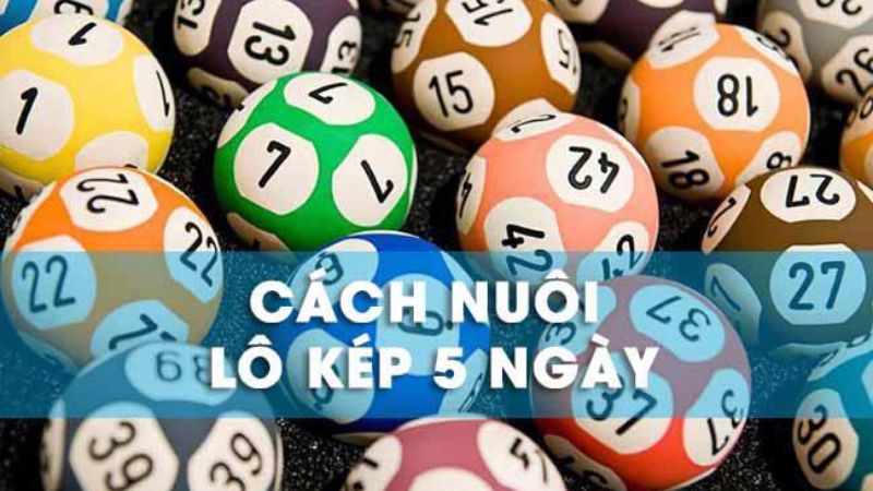 Cách soi cầu bạch thủ lô khung 5 ngày bất bại