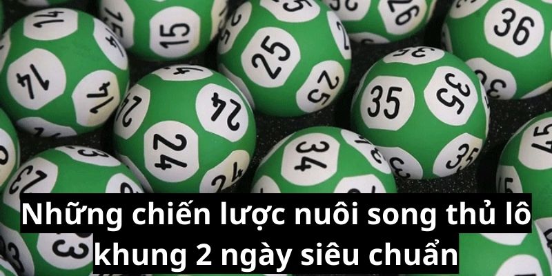 Những chiến lược nuôi song thủ lô khung 2 ngày siêu chuẩn