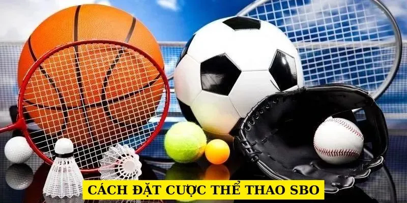 cach-dat-cuoc-the-thao-sbo