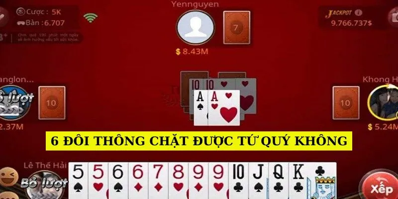 6-doi-thong-chat-duoc-tu-quy-khong