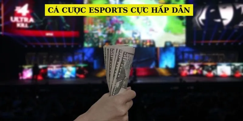 ca-cuoc-esports-cuc-hap-dan