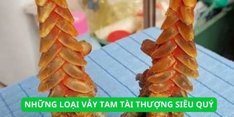 cac-loai-vay-tam-tai