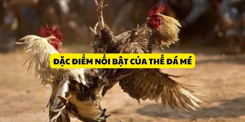 dac-diem-noi-bat-cua-the-da-me