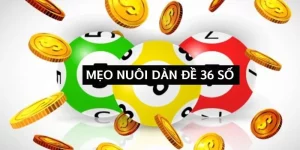 meo-nuoi-dan-de-36-so